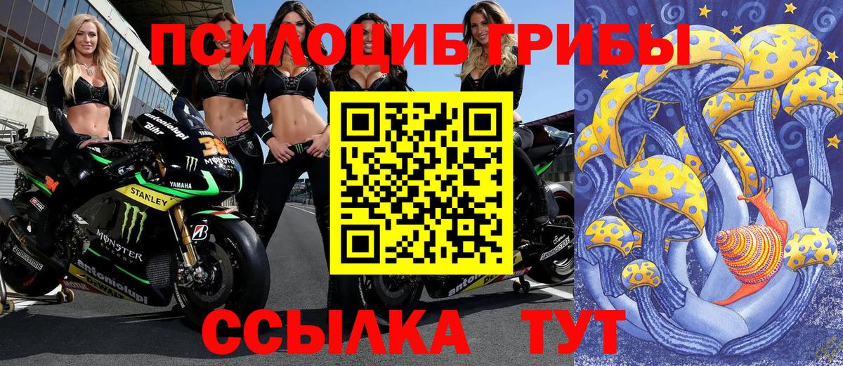 Псилоцибиновые грибы мухоморы  Вход с VPN  Рославль 